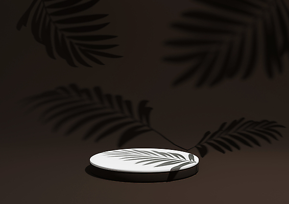 JPG 해외이미지 일러스트 그림자 사람없음 갈색 3D 원형 심플 단상 해외일러스트 해외포토 포토 도형 컬러 디지털합성 파일형식 이미지허브