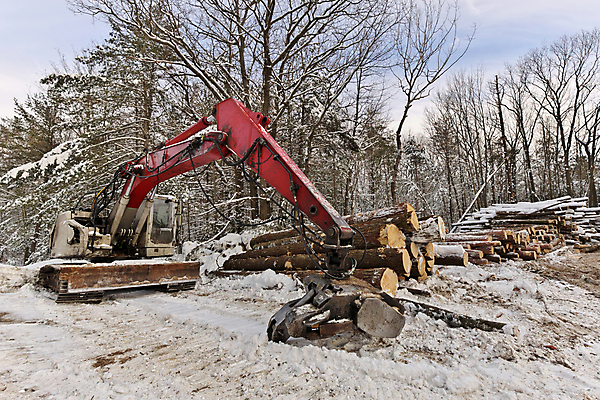 포토 JPG 해외이미지 나무 산업 컨셉 겨울 사람없음 야외 건물 목재 쌓기 기계 재활용 장비 숲 장작 부식 날것 통나무 연료 서식지 자원 유지 개발 벌목 생태학 수목 해외포토 식물 건축물 계절 교육 재료 모션 친환경 파일형식 이미지허브