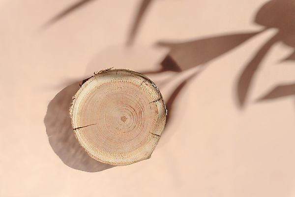 포토 JPG 해외이미지 템플릿 도마 쟁반 그림자 사람없음 목재 장식 빛 하이앵글 햇빛 갈색 노란색 화장품 판넬 원형 발표 상품 정상 그늘 갑판 향수 책상 오브젝트 레이아웃 단상 내추럴 목판화 지휘대 핸드메이드 목업 해외포토 도형 나무 뷰포인트 컬러 가구 배_교통 재료 주방용품 태양 뷰티 파일형식 이미지허브