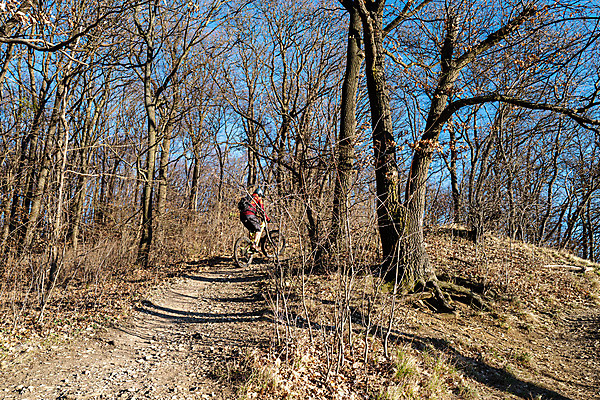포토 JPG 해외이미지 나무 라이프스타일 계절 공원 길 스포츠 포즈 백그라운드 잎 겨울 자국 자연 하늘 산 건강 사람 사람없음 야외 목재 파란색 갈색 환경 승차 숲 언덕 순환 오르막 내추럴 바이킹 산악자전거 선로 해외포토 식물 공공시설 컬러 재료 모션 생활 자전거 생태계 파일형식 이미지허브