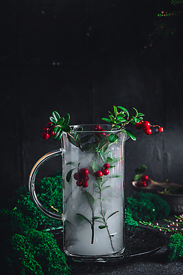 포토 JPG 해외이미지 열매 음료 겨울 과일 유리 따뜻함 건강 요리 사람없음 빨간색 식당 저녁식사 주스 카페 빵집 칵테일 뜨거움 달콤 맛 아침식사 숲 레모네이드 민트 메뉴 유기농 레시피 채식주의자 크랜베리 맛있는 해외포토 식물 웰빙 계절 컬러 컨셉 재질 주류 상점 식사 허브 채식 에이드 파일형식 이미지허브