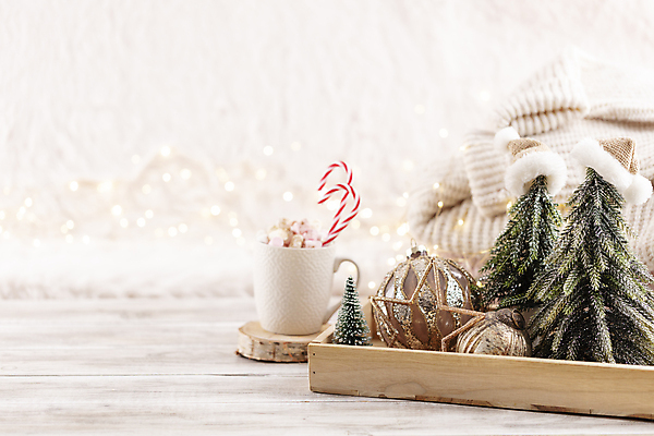 포토 JPG 해외이미지 크리스마스 산타모자 실내 사람없음 아웃포커스 크리스마스트리 미니어처 나무바닥 코코아 미니트리 오너먼트 해외포토 모자_잡화 기념일 음료 크리스마스장식 바닥 촬영기법 내부 모형 파일형식 이미지허브