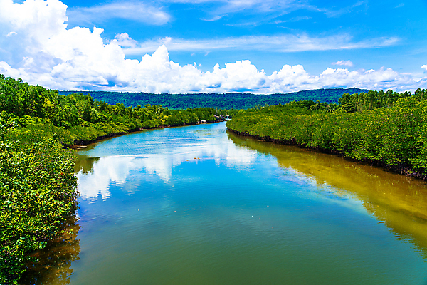 포토 JPG 해외이미지 나무 자연 하늘 사람없음 물 강 반사 해외포토 자연요소 식물 생태계 파일형식 이미지허브
