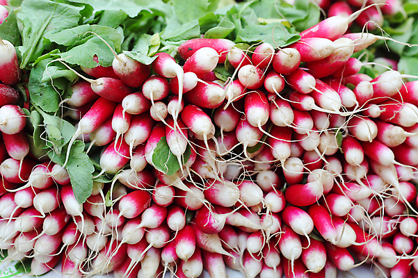 포토 JPG 해외이미지 식물 접시 계절 음식 분홍색 백그라운드 농업 다이어트 채소 재료 자연 종류 사람없음 초록색 여름 빛 컬러풀 농장 상점 정원 샐러드 수확 흰색 신선 원형 시장 작음 보따리 유기농 뿌리 내추럴 바이오 총각무 그리너리 해외포토 도형 식기 웰빙 산업 컬러 건강 크기 무 생태계 파일형식 트랜드컬러 이미지허브