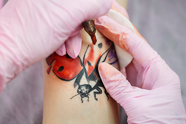 포토 JPG 해외이미지 라이프스타일 손 디자인 장갑 잉크 근접촬영 신체부위 그리기 문신 집중 그림 예술가 팔 타투이스트 해외포토 직업 잡화 뷰포인트 컨셉 모션 사람 생활 파일형식 이미지허브