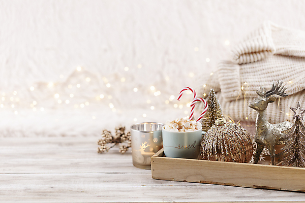 포토 JPG 해외이미지 크리스마스 크리스마스용품 실내 사람없음 아웃포커스 미니어처 코코아 미니트리 사슴모양 오너먼트 해외포토 모양 기념일 음료 크리스마스장식 촬영기법 내부 크리스마스트리 모형 용품 파일형식 이미지허브