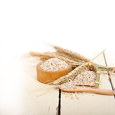 포토 JPG 해외이미지 근접촬영 사람없음 농작물 낟알 보리 보리이삭 해외포토 뷰포인트 농업 곡류 이삭 파일형식 이미지허브