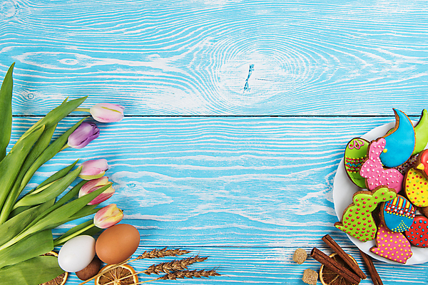 포토 JPG 해외이미지 접시 꽃 잎 사람없음 장식 화려 부활절계란 파란배경 건과일 새모양 시나몬 토끼모양 진저쿠키 스프링클 카피스페이스 나무배경 해외포토 모양 식물 식기 백그라운드 컨셉 과일 부활절 건조 파란색 쿠키 계란 공백 파일형식 이미지허브