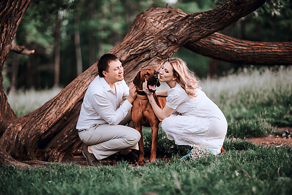 포토 JPG 해외이미지 주간 전신 나무 한마리 부부 여자 남자 행복 반려견 가족 키스 함께함 잔디 성인 야외 두명 옆모습 아웃포커스 반려동물 강아지 웅크림 성인만 해외포토 자연요소 식물 동물 1 커플 감정 뷰포인트 컨셉 관계 모션 촬영기법 사람 개 애정표현 파일형식 이미지허브