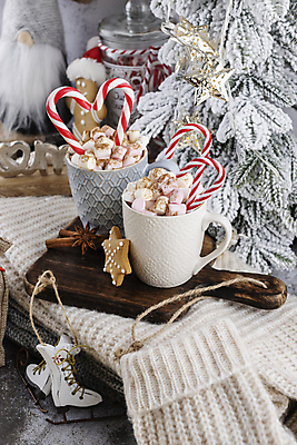 포토 JPG 해외이미지 크리스마스 크리스마스용품 실내 사람없음 미니어처 스케이트 하트 니트 코코아 나무도마 지팡이사탕 해외포토 모양 기념일 음료 스포츠용품 상의 도마 사탕 내부 목재 모형 용품 파일형식 이미지허브