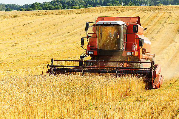 포토 JPG 해외이미지 밭 농업 사람없음 농경지 수확 추수 가을 트랙터 해외포토 계절 산업 농장 농기계 특수차량 파일형식 이미지허브