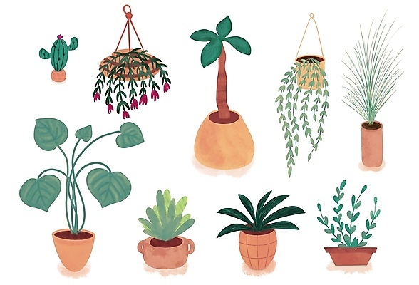 포토 JPG 해외이미지 나무 식물 디자인 꽃 화분 화초 벽 백그라운드 잎 꽃무늬 일러스트 자연 탁자 선인장 주택 실내 손바닥 사람없음 내부 장식 초록색 빛 세트 사무실 우주 정원 방 성장 흰색 플랫 냄비 만화 수집 오브젝트 내추럴 고립 심기 스타일 해외일러스트 손 컬러 가구 무늬 비즈니스 모션 건물 솥 생태계 파일형식 이미지허브