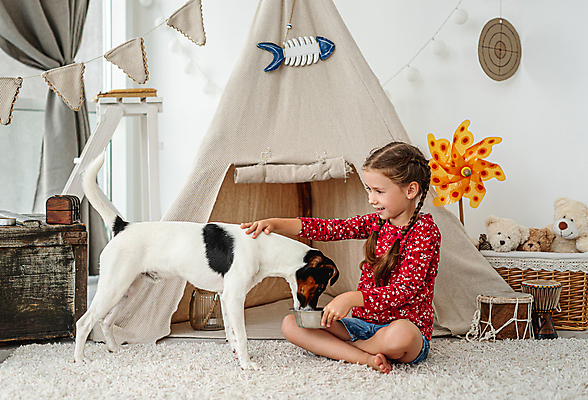 포토 JPG 해외이미지 전신 한마리 여자 반려견 여유 어린이 휴식 함께함 실내 텐트 한명 들기 앉기 옆모습 반려동물 바구니 곰인형 강아지 먹여주기 바람개비 주기 잭러셀테리어 가랜드 개밥그릇 소녀한명만 쓰다듬기 해외포토 동물 1 그릇 감정 인형 뷰포인트 컨셉 모션 캠핑도구 사람 내부 개 테리어 먹기 파티용품 애견용품 여자한명만 소녀만 파일형식 이미지허브