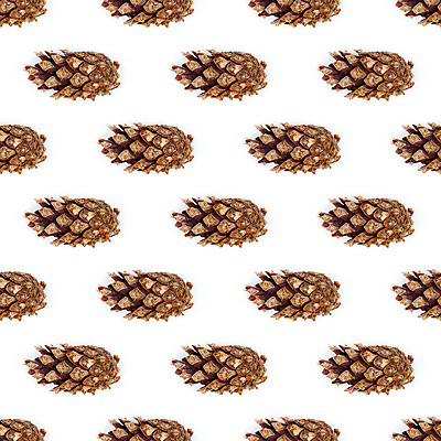 포토 JPG 해외이미지 디자인 계절 크리스마스 꽃무늬 패턴 일러스트 자연 추상 휴가 새로움 미술 씨앗 사람없음 장식 세트 유행 수확 흰색 축하 소나무 인쇄 12월 연도 배열 오브젝트 위치 솔방울 상록수 침엽수 전나무 원뿔 엘리먼트 가문비나무 스타일 미니멀 해외일러스트 도형 나무 식물 기념일 꽃 컬러 컨셉 무늬 농업 문화예술 날짜 생태계 파일형식 이미지허브