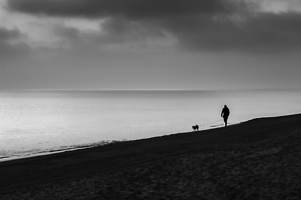 포토 JPG 해외이미지 구름 계절 모래 바다 분홍색 여행 백그라운드 오렌지 자연 하늘 아침 날씨 흑백 사람 풍경 사람없음 물 여름 파란색 빛 햇빛 태양 뷰티 평화 걷기 마을 황혼 새벽 낭만 스페인 황금 개 야간 만들기 장면 공상 마법 알리칸테 수평선 해외포토 주간 자연요소 유럽 컬러 컨셉 과일 포유류 모션 촬영기법 일몰 생태계 파일형식 이미지허브