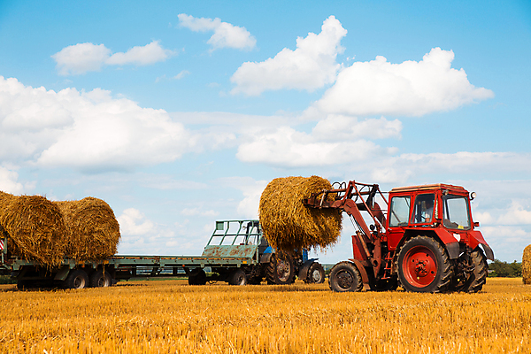 포토 JPG 해외이미지 주간 밭 농업 풍경 사람없음 야외 농장 농경지 쌓기 가을 볏짚 트랙터 밭일 해외포토 자연요소 계절 산업 모션 짚 농기계 특수차량 파일형식 이미지허브