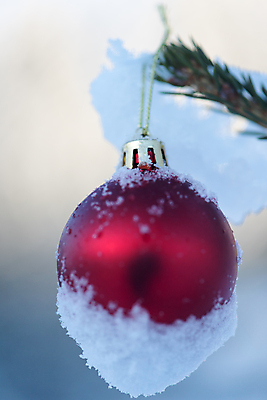 포토 JPG 해외이미지 주간 크리스마스장식 겨울 매달리기 사람없음 야외 아웃포커스 눈 걸림 오너먼트 해외포토 자연요소 계절 크리스마스 모션 날씨 촬영기법 파일형식 이미지허브