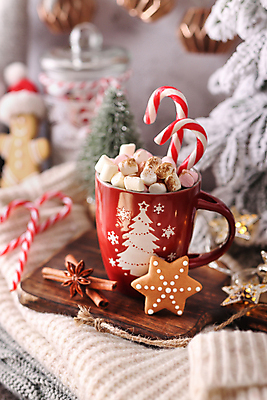 포토 JPG 해외이미지 크리스마스 크리스마스용품 실내 사람없음 아웃포커스 쿠키 코코아 마시멜로우 나무도마 지팡이사탕 해외포토 기념일 음료 디저트 도마 촬영기법 사탕 내부 목재 용품 파일형식 이미지허브