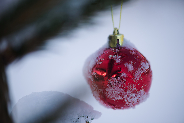 포토 JPG 해외이미지 주간 크리스마스장식 겨울 매달리기 사람없음 야외 눈 소프트포커스 걸림 오너먼트 해외포토 자연요소 계절 크리스마스 모션 날씨 촬영기법 파일형식 이미지허브
