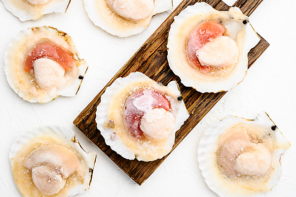 포토 JPG 해외이미지 조개 실내 사람없음 하이앵글 흰배경 날것 가리비 나무도마 조갯살 해외포토 뷰포인트 백그라운드 어패류 도마 내부 목재 흰색 파일형식 이미지허브