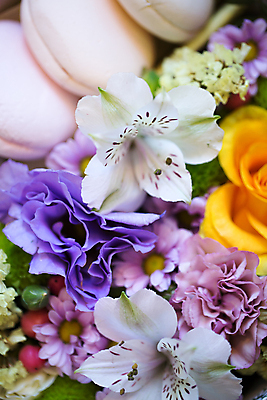 포토 JPG 해외이미지 꽃 꽃다발 근접촬영 사람없음 야외 장식 상점 꽃집 해외포토 식물 뷰포인트 파일형식 이미지허브