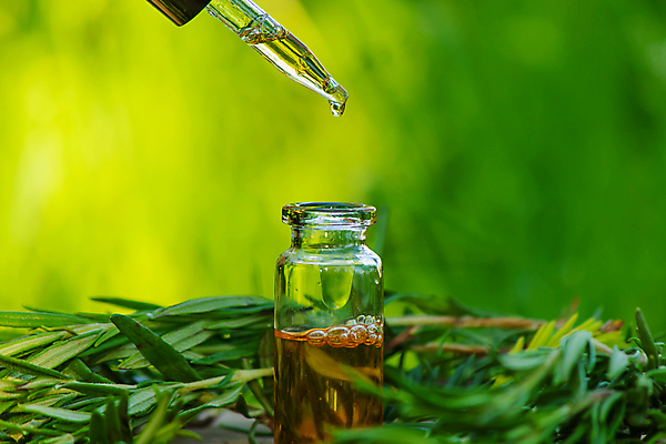 포토 JPG 해외이미지 식물 꽃 음식 백그라운드 잎 재료 자연 유리 휴식 건강 요리 사람없음 목재 치료 초록색 뷰티 약 스파 화장품 흰색 나뭇가지 신선 마사지 항아리 수집 허브 향신료 유기농 향기 아로마 향 아로마테라피 테라피 로즈메리 내추럴 돌봄 에센스 해외포토 나무 웰빙 컬러 컨셉 의학 모션 재질 도자기 생태계 냄새 향미료 파일형식 이미지허브