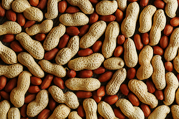 포토 JPG 해외이미지 실내 사람없음 견과류 가득함 유기농 땅콩 땅콩껍질 해외포토 웰빙 내부 껍질 파일형식 이미지허브