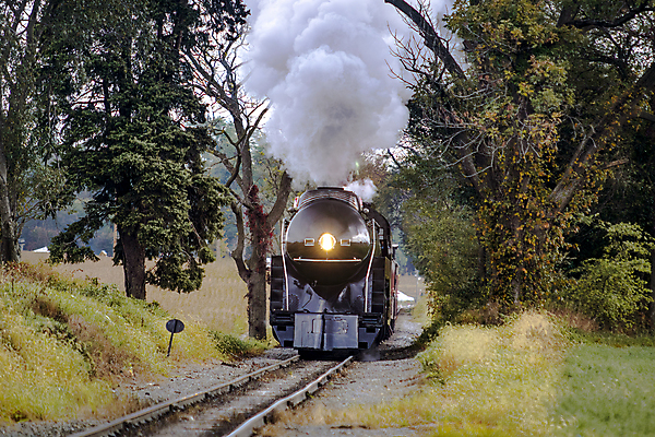 포토 JPG 해외이미지 주간 나무 사람없음 야외 기찻길 기차 시골 연기 증기기관차 해외포토 자연요소 식물 육상교통 대중교통 파일형식 이미지허브