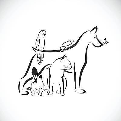 EPS 해외이미지 동물 디자인 실루엣 나비 백그라운드 날개 일러스트 비즈니스 포유류 자연 미술 앉기 그래픽 반려동물 세트 픽토그램 귀여움 검은색 고양이 흰색 토끼 개 강아지 보호 만화 래브라도리트리버 수집 문신 심볼 사인 그림 앵무새 윤곽 비글 수의사 송곳니 고립 돌봄 엘리먼트 유래 해외일러스트 컬러 곤충 컨셉 모션 조류 문화예술 촬영기법 의사 리트리버 치아 생태계 파일형식 벡터 이미지허브