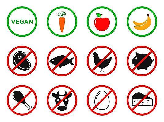 EPS 해외이미지 식물 동물 음식 스티커 다이어트 채소 과일 일러스트 자연 건강 육류 돼지고기 어류 스테이크 빨간색 초록색 식당 계란 저녁식사 웹 당근 신선 플랫 사과 심볼 메뉴 에코 유기농 날것 건강식 바이오 생태학 채식주의자 비건 해외일러스트 웰빙 교육 컬러 인터넷 식재료 뿌리채소 서양음식 환경 상점 알 식사 수중동물 생태계 채식 파일형식 벡터 이미지허브