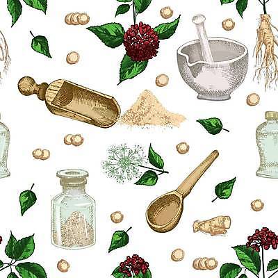 EPS 해외이미지 식물 전통 디자인 열매 꽃 선 음식 백그라운드 잎 일러스트 한국 건강 동양인 빨간색 약 일본 검은색 중국 수확 흰색 사발 재산 가루 스케치 약국 허브 국자 그림 복고 뿌리 손그림 판화 보충 고립 막자 해외일러스트 아시아 컬러 농업 의학 주방용품 미술 인종 금융 사기그릇 파일형식 벡터 이미지허브