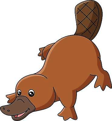 EPS 해외이미지 클립아트 동물 캐릭터 디자인 교육 야생동물 어린이 일러스트 오리 동물원 미술 그래픽 책 컬러풀 유치원 아기 낙서 만화 그림 클립 손그림 걸음마 해외일러스트 일러캐릭터 컬러 모션 조류 문화예술 사람 파일형식 벡터 이미지허브