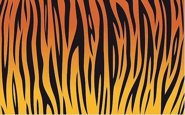EPS 해외이미지 동물 아시아 야생동물 선 패턴 오렌지 일러스트 포유류 아프리카 털 동물원 내부 장식 유행 고양이 줄무늬 직물 호랑이 우아함 가죽 사파리 피부 타일 질감 사냥 숨김 내추럴 동물상 스타일 반복 부족함 해외일러스트 나라 컨셉 무늬 과일 신체부위 반려동물 조형물 파일형식 벡터 이미지허브