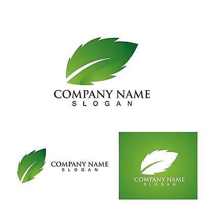 EPS 해외이미지 잎 일러스트 사람없음 초록색 심볼 유기농 엘리먼트 알로에베라 해외일러스트 식물 웰빙 컬러 알로에 파일형식 벡터 이미지허브