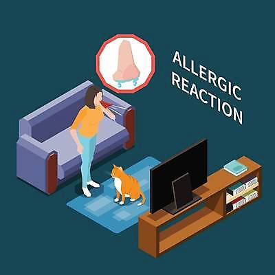 EPS 해외이미지 전신 여자 일러스트 한명 성인 고양이 코 알레르기 재채기 콧물 성인여자한명만 해외일러스트 1 포유류 사람 신체부위 반려동물 질병 생리현상 여자한명만 성인여자만 파일형식 벡터 이미지허브