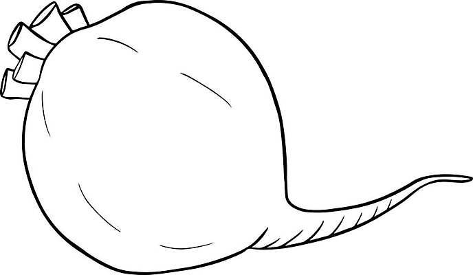 EPS 해외이미지 접시 음식 조각 백그라운드 다이어트 채소 과일 일러스트 재료 건강 미술 빨간색 농장 정원 보라색 식사 저녁식사 수확 흰색 신선 시장 맛 자르기 먹기 유기농 슬라이스 뿌리 점심식사 고립 비트 디톡스 개조 비건 맛있는 해외일러스트 식기 웰빙 컬러 컨셉 농업 모션 문화예술 채식주의자 파일형식 벡터 이미지허브