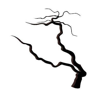 EPS 해외이미지 모양 나무 식물 디자인 계절 실루엣 줄기 백그라운드 낙엽 잎 겨울 일러스트 자연 추상 건조 미술 풍경 야외 목재 그래픽 장식 세트 환경 검은색 할로윈 성장 가을 흰색 나뭇가지 죽음 숲 수집 심볼 오브젝트 그림 윤곽 내추럴 고립 벌거벗은 생태학 엘리먼트 옛날 해외일러스트 교육 컬러 무늬 재료 문화예술 촬영기법 생태계 파일형식 벡터 이미지허브
