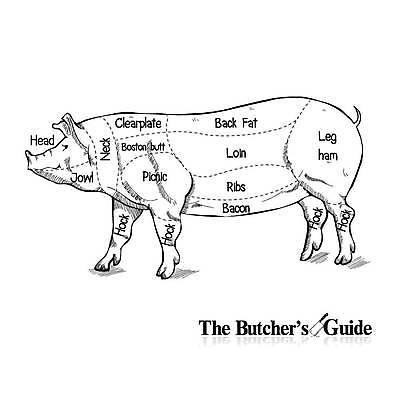 EPS 해외이미지 동물 음식 조각 일러스트 가이드 부분 영국 육류 돼지고기 스테이크 요리 그래픽 농장 상점 식당 검은색 수확 흰색 신선 돼지 스케치 자르기 허리 어깨 메뉴 준비 그림 복고 햄 윤곽 베이컨 갈비뼈 고립 정육점 해외일러스트 직업 유럽 컬러 농업 식재료 포유류 모션 뼈 서양음식 미술 신체부위 파일형식 벡터 이미지허브
