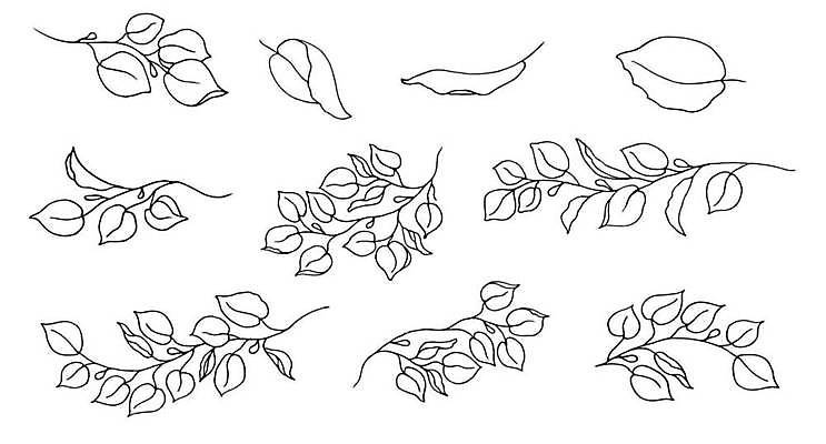 EPS 해외이미지 디자인 잎 라인일러스트 일러스트 사람없음 세트 라인아트 심플 해외일러스트 식물 선 파일형식 벡터 이미지허브