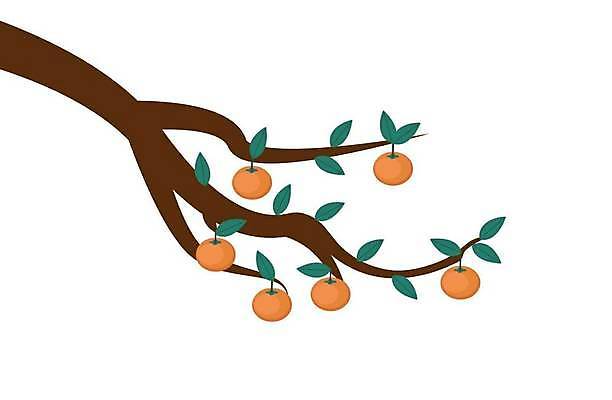 EPS 해외이미지 나무 식물 디자인 계절 아시아 문화 음료 음식 백그라운드 잎 농업 오렌지 과일 일러스트 부분 자연 휴가 디저트 귤 한국 건강 미술 동양인 야외 장식 초록색 여름 농작물 컬러풀 농장 갈색 노란색 정원 일본 축제 중국 수확 가을 나뭇가지 신선 선택 중앙 달콤 맛 먹기 심볼 오브젝트 유기농 원예 베트남 비타민 추수감사절 8월 내추럴 고립 숙성 엘리먼트 채식주의자 스타일 맛있는 해외일러스트 웰빙 나라 산업 기독교 컬러 컨셉 모션 문화예술 인종 취미 동남아시아 날짜 생태계 채식 영양소 파일형식 벡터 이미지허브