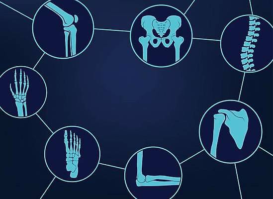 EPS 해외이미지 손 포스터 과학 백그라운드 신체 일러스트 해부 뼈 골격 엑스레이 건강 병원 사람 팜플렛 그래픽 치료 세트 약 인포그래픽 고통 질병 심볼 척추 어깨 관절염 생물학 무릎 외과 서명 고립 양발 엘리먼트 팔꿈치 해골모형 해외일러스트 교육 감정 의학 신체부위 모형 팔 파일형식 벡터 이미지허브