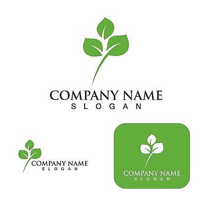 EPS 해외이미지 디자인 잎 일러스트 사람없음 초록색 심볼 에코 유기농 엘리먼트 해외일러스트 식물 웰빙 컬러 환경 파일형식 벡터 이미지허브