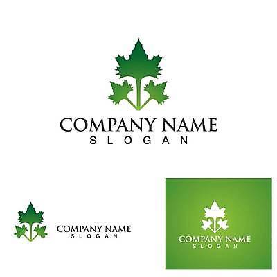 EPS 해외이미지 디자인 잎 일러스트 사람없음 초록색 심볼 에코 유기농 엘리먼트 해외일러스트 식물 웰빙 컬러 환경 파일형식 벡터 이미지허브