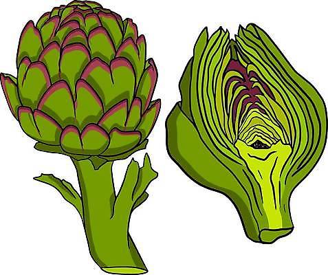 EPS 해외이미지 식물 라이프스타일 접시 디자인 꽃 음식 백그라운드 잎 농업 채소 일러스트 재료 요리 세트 지구본 저녁식사 이탈리아 수확 시골 신선 시장 오브젝트 그림 유기농 날것 고립 절임 비건 해외일러스트 식기 웰빙 유럽 산업 생활 식사 채식주의자 파일형식 벡터 이미지허브