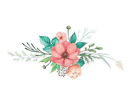 EPS 해외이미지 꽃 분홍색 잎 일러스트 사람없음 아네모네 해외일러스트 식물 컬러 파일형식 벡터 이미지허브