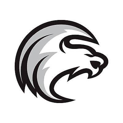 EPS 해외이미지 템플릿 전통 디자인 실루엣 일러스트 그래픽 빨간색 일본 중국 힘 용 신비 심볼 사인 싸움 마법 동쪽 고립 전설 제국 스타일 해외일러스트 아시아 컬러 컨셉 모션 촬영기법 방향 파일형식 벡터 이미지허브