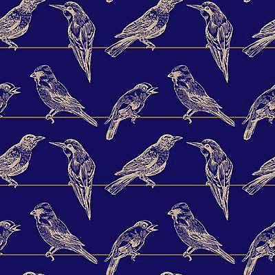 EPS 해외이미지 디자인 줄 여러마리 일러스트 조류 사람없음 파란색 해외일러스트 동물 컬러 다수 파일형식 벡터 이미지허브