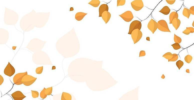 EPS 해외이미지 단풍 낙엽 일러스트 사람없음 노란색 가을 흰색 가을배경 해외일러스트 계절 컬러 백그라운드 잎 파일형식 벡터 가을_계절 이미지허브