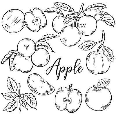 EPS 해외이미지 나무 식물 손 선 음식 조각 백그라운드 잎 다이어트 과일 일러스트 자연 잉크 건강 미술 그래픽 세트 농장 수확 흰색 나뭇가지 신선 그룹 달콤 낙서 사과 스케치 수집 유기농 판화 고립 그런지 밭일 숙성 채식주의자 스타일 해외일러스트 웰빙 컬러 농업 문화예술 신체부위 맛 생태계 채식 파일형식 벡터 이미지허브