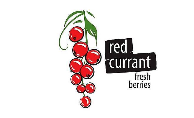 EPS 해외이미지 클립아트 열매 과일 일러스트 사람없음 빨간색 심볼 베리 레드커런트 해외일러스트 식물 컬러 파일형식 벡터 이미지허브